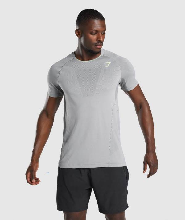 Panske Tricka Gymshark Apex Perform Siva | IP1048625